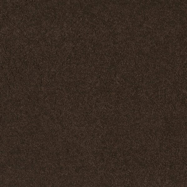 Shaw Floors Retail EVERYDAY COMFORT (S) - 00708 BROWN SUGAR