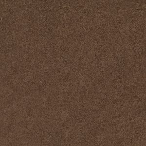 Shaw Floors Retail EVERYDAY COMFORT (S) - 00703 DARK SPICE