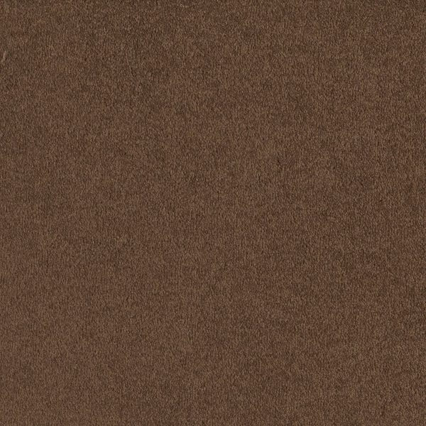 Shaw Floors Retail EVERYDAY COMFORT (S) - 00703 DARK SPICE