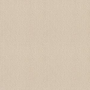 Shaw Floors Retail TRADITIONAL ELEGANCE - 00100 IVORY LACE