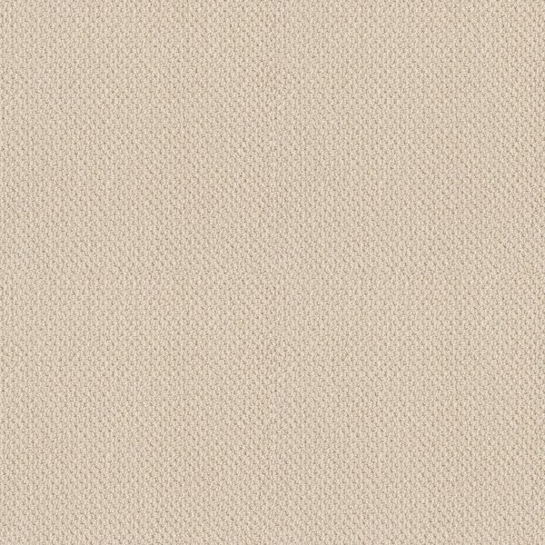 Shaw Floors Retail TRADITIONAL ELEGANCE - 00100 IVORY LACE