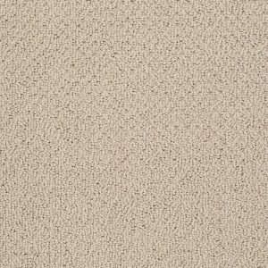 Shaw Floors Retail TRADITIONAL ELEGANCE - 00105 PUTTY