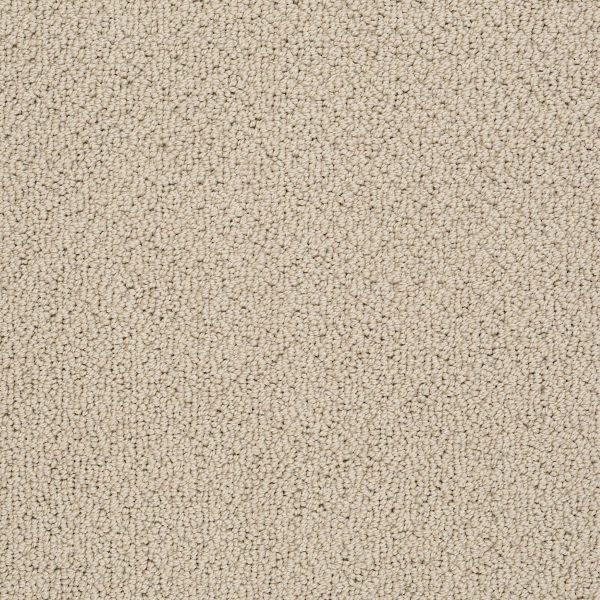 Shaw Floors Retail TRADITIONAL ELEGANCE - 00105 PUTTY