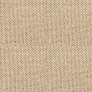 Shaw Floors Retail TRADITIONAL ELEGANCE - 00200 CUSTARD