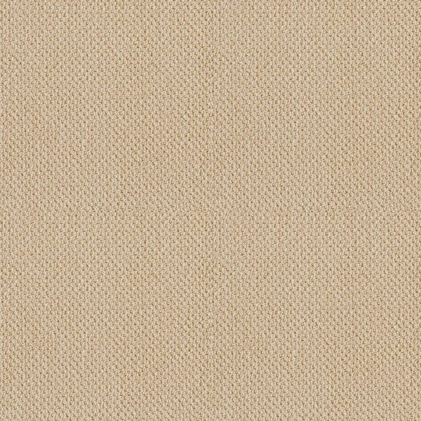 Shaw Floors Retail TRADITIONAL ELEGANCE - 00200 CUSTARD