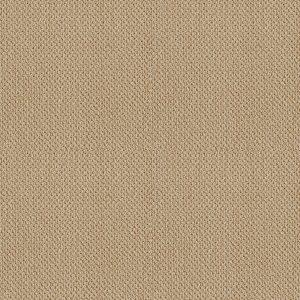 Shaw Floors Retail TRADITIONAL ELEGANCE - 00201 HONEYCOMB