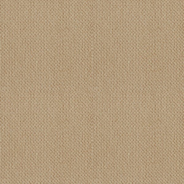 Shaw Floors Retail TRADITIONAL ELEGANCE - 00201 HONEYCOMB