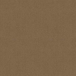 Shaw Floors Retail TRADITIONAL ELEGANCE - 00702 GRANOLA