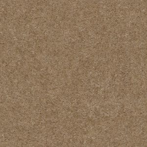 Shaw Floors Value OPTIMUM - 00701 THORNWOOD