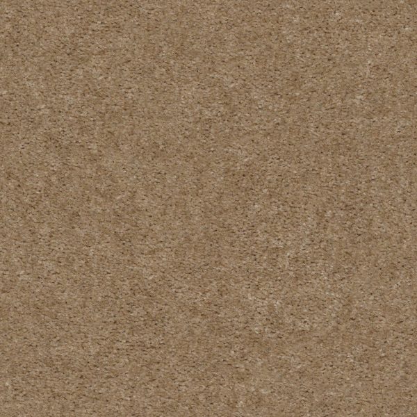 Shaw Floors Value OPTIMUM - 00701 THORNWOOD