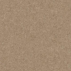 Shaw Floors Value OPTIMUM - 96101 ROCKPORT