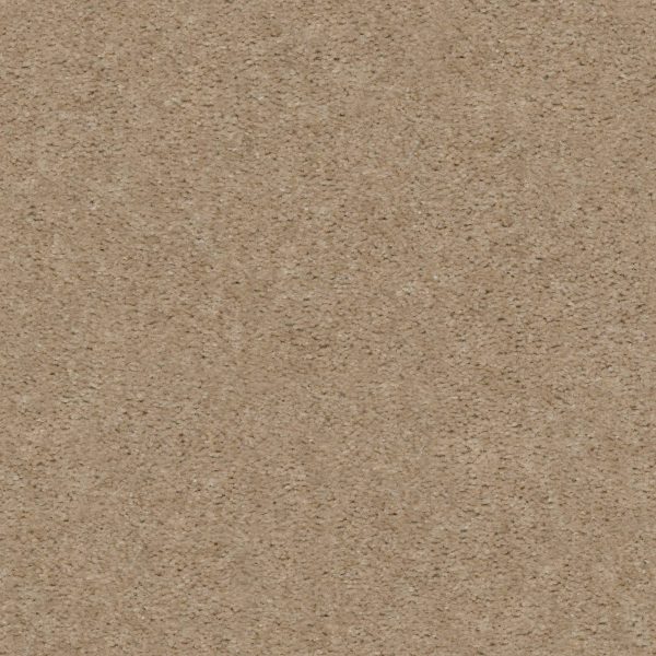 Shaw Floors Value OPTIMUM - 96101 ROCKPORT