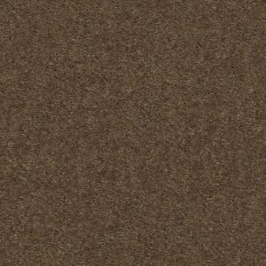 Shaw Floors Value OPTIMUM - 85753 COBBLE HILL