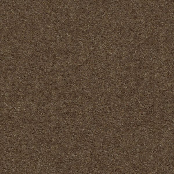 Shaw Floors Value OPTIMUM - 85753 COBBLE HILL