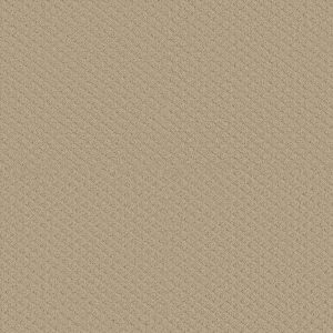 Shaw Floors Retail PADOVA - 00102 DUNES
