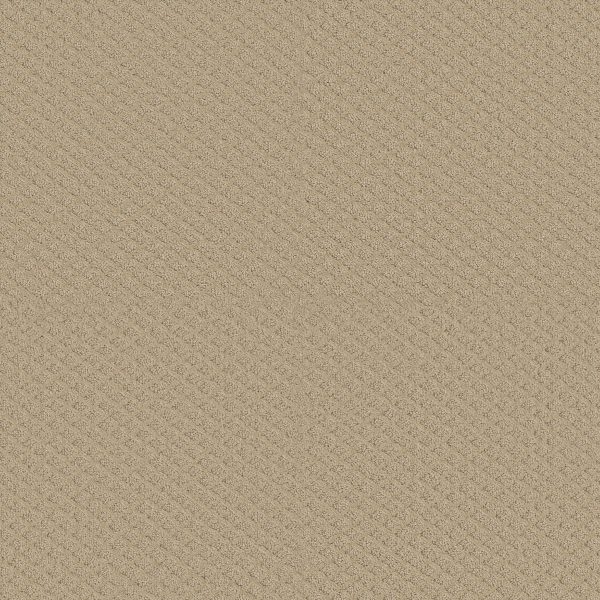 Shaw Floors Retail PADOVA - 00102 DUNES