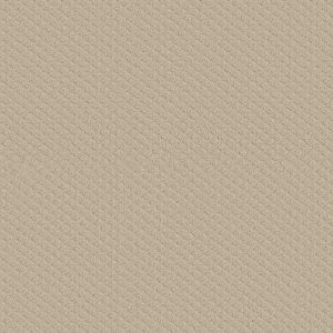 Shaw Floors Retail PADOVA - 00103 SAND PEBBLE
