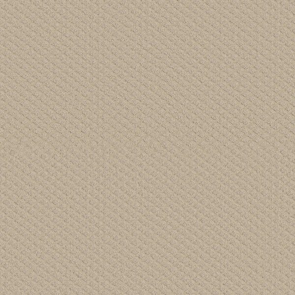 Shaw Floors Retail PADOVA - 00103 SAND PEBBLE