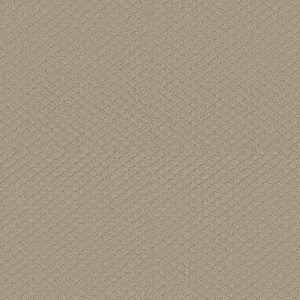 Shaw Floors Retail PADOVA - 00104 FROST
