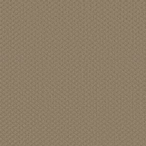 Shaw Floors Retail PADOVA - 00703 MUSHROOM