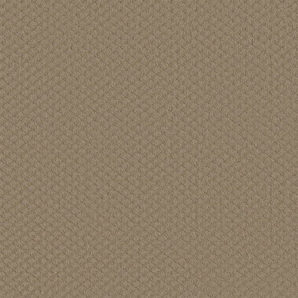 Shaw Floors Retail PADOVA - 00703 MUSHROOM