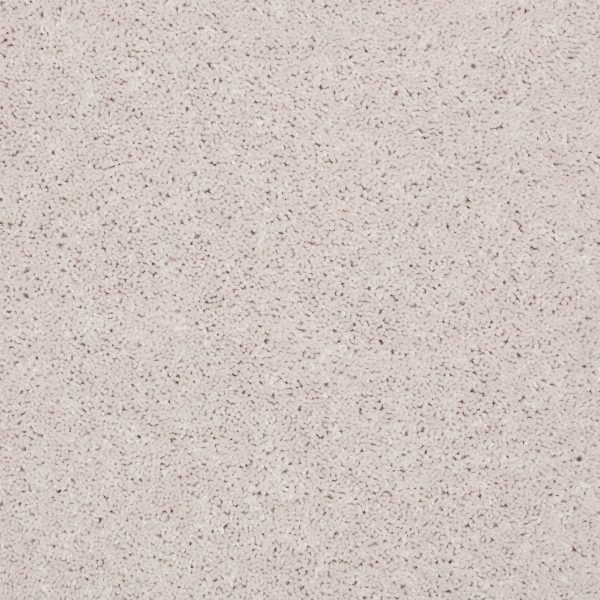 Shaw Floors Retail FULL COURT 12' - 00100 HALO