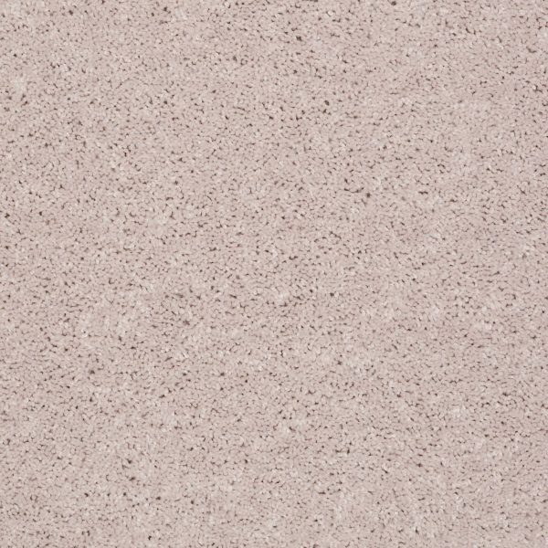 Shaw Floors Retail FULL COURT 12' - 00102 ANGEL CLOUD