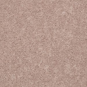 Shaw Floors Retail FULL COURT 12' - 00103 FLAX SEED