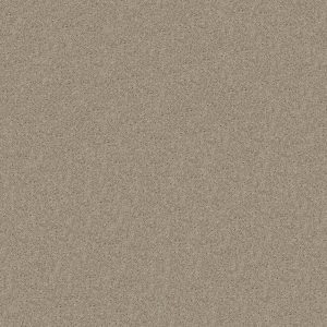 Shaw Floors Retail FULL COURT 12' - 00105 BARE MINERAL