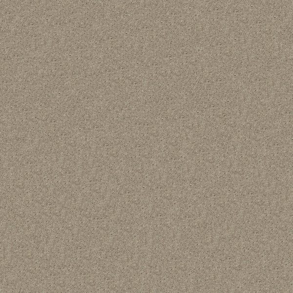 Shaw Floors Retail FULL COURT 12' - 00105 BARE MINERAL