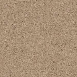 Shaw Floors Retail FULL COURT 12' - 00107 TASSEL