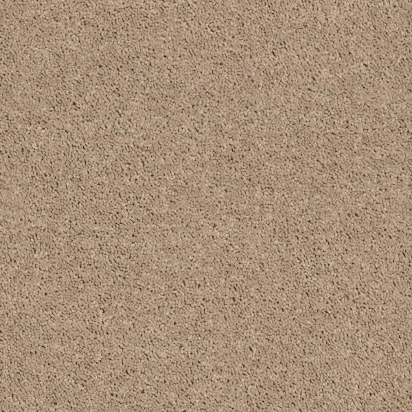 Shaw Floors Retail FULL COURT 12' - 00107 TASSEL