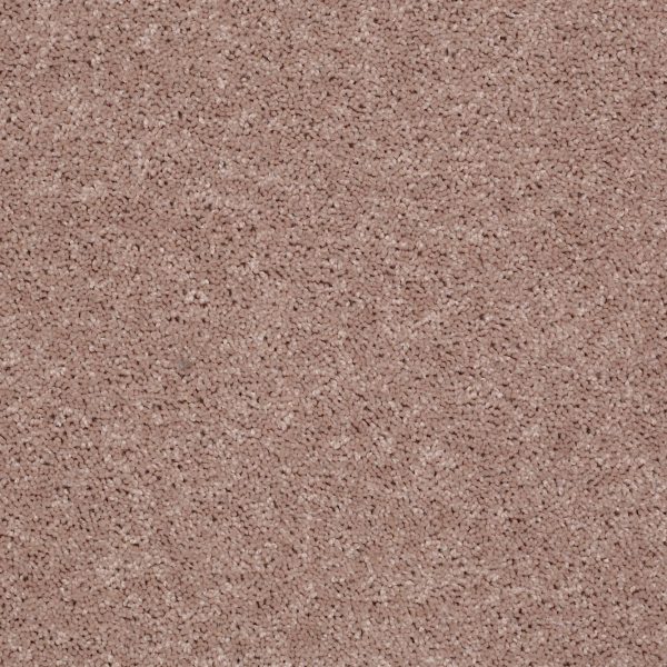 Shaw Floors Retail FULL COURT 12' - 00201 HONEYCOMB