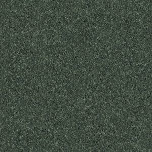 Shaw Floors Retail FULL COURT 12' - 00340 GOING GREEN