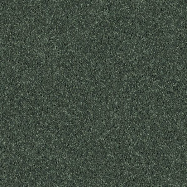 Shaw Floors Retail FULL COURT 12' - 00340 GOING GREEN