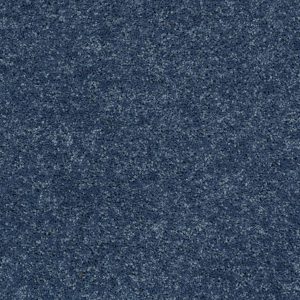 Shaw Floors Retail FULL COURT 12' - 00400 CASTAWAY