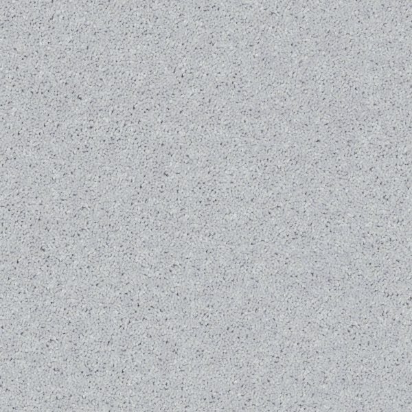 Shaw Floors Retail FULL COURT 12' - 00540 DOVE