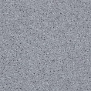 Shaw Floors Retail FULL COURT 12' - 00541 DOLPHIN