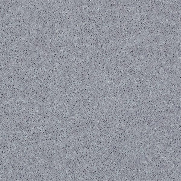 Shaw Floors Retail FULL COURT 12' - 00541 DOLPHIN