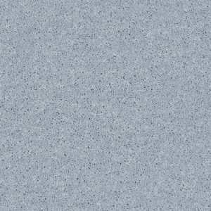 Shaw Floors Retail FULL COURT 12' - 00542 SILVER SPOON