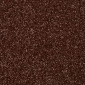 Shaw Floors Retail FULL COURT 12' - 00610 FLOWER POT