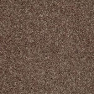 Shaw Floors Retail FULL COURT 12' - 00702 CATTAIL