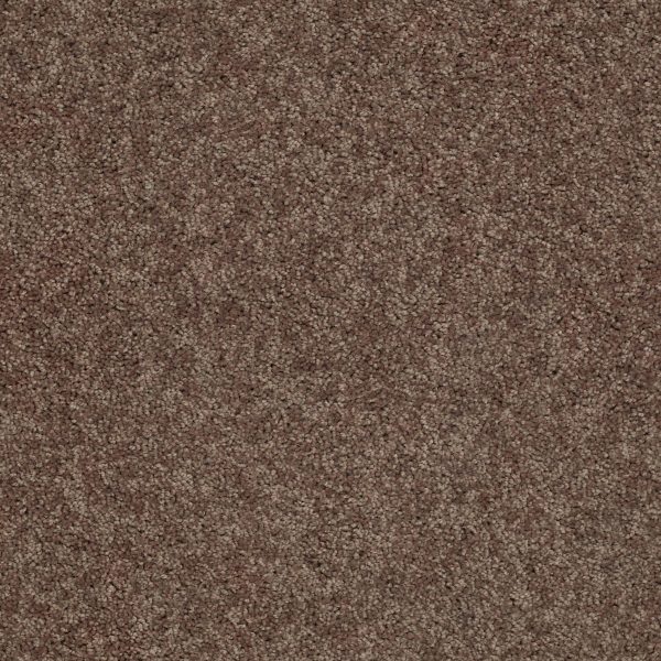 Shaw Floors Retail FULL COURT 12' - 00702 CATTAIL