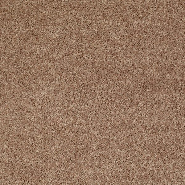 Shaw Floors Retail FULL COURT 12' - 00704 TAFFY