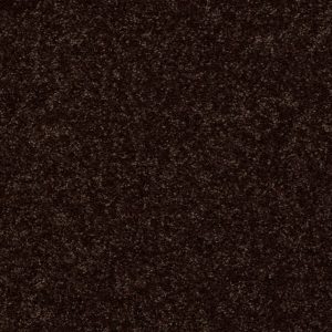 Shaw Floors Retail FULL COURT 12' - 00705 COFFEE BEAN