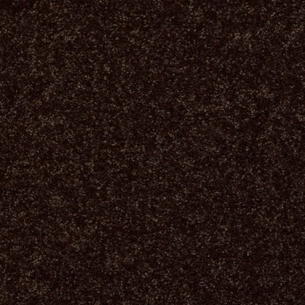 Shaw Floors Retail FULL COURT 12' - 00705 COFFEE BEAN