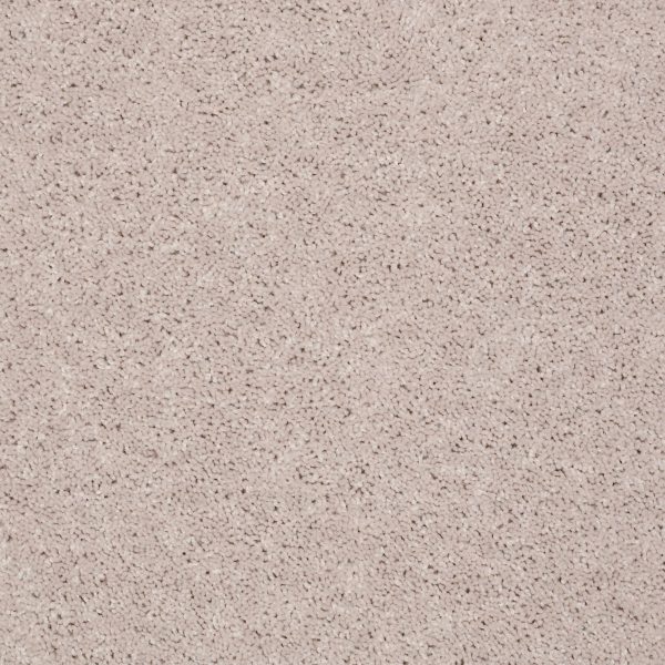 Shaw Floors Retail FULL COURT 15' - 00104 MOON BEAM