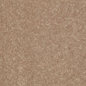 Shaw Floors Retail FULL COURT 15' - 00107 TASSEL