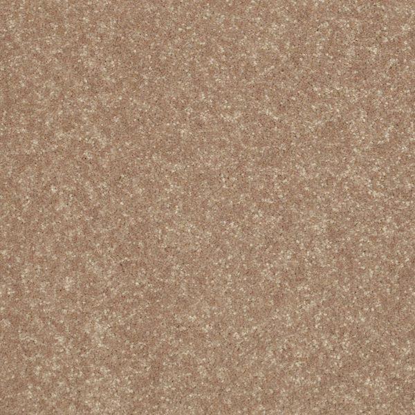 Shaw Floors Retail FULL COURT 15' - 00107 TASSEL