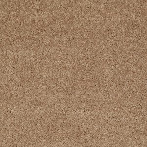Shaw Floors Retail FULL COURT 15' - 00202 GOLDEN ECHOES